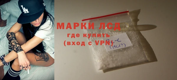 spice Бородино