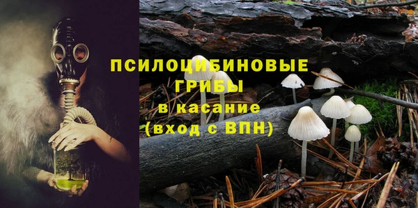 spice Бородино