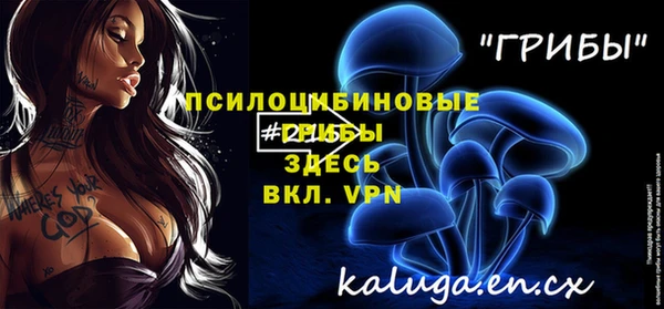 ешки Бронницы