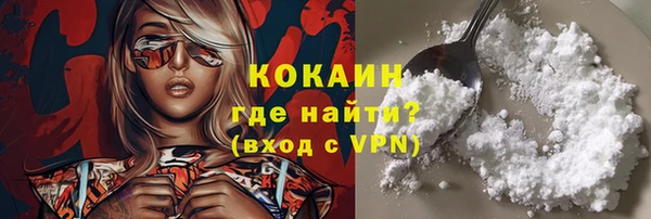 spice Бородино